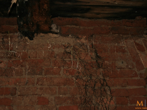 image068