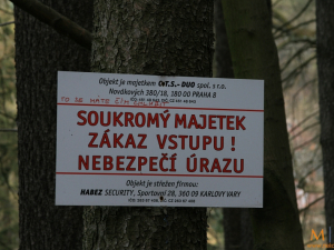 image101