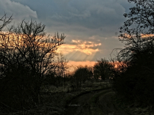 img_3422_1