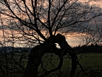 img_3417_1