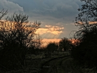 img_3422_1