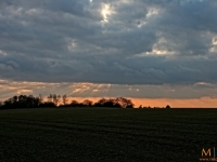 img_3427_1