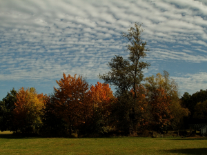 n_IMG_1222_up