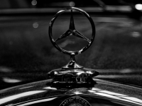 IMG_7815_up