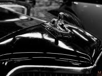 IMG_7848_up