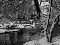 IMG_0063