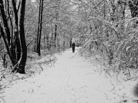 IMG_0065