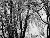 IMG_0068