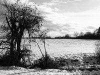 IMG_0079