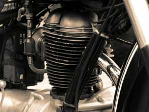 IMG_8259_up