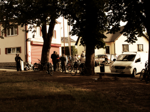 IMG_0817_up