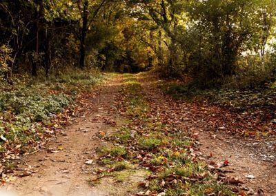 Podzimní dopoledne Žákavá – 13.10.2019